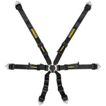 Schroth シュロス Flexi 2x2 ハーネス 【 サーキット レース シートベルト 内装パーツ 車 4輪 】