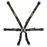 Schroth シュロス Flexi 2x2 ハーネス 【 サーキット レース シートベルト 内装パーツ 車 4輪 】