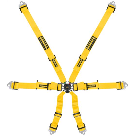 Schroth シュロス Flexi 2x2 ハーネス 【 サーキット レース シート 